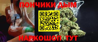 гидра Краснознаменск