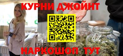 гидра Краснознаменск