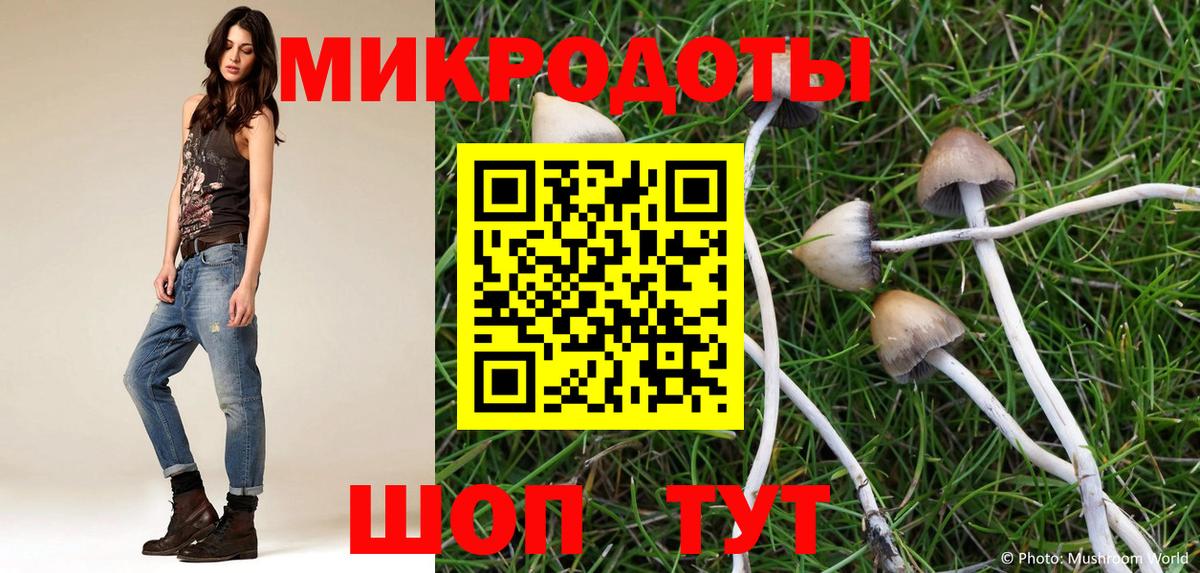 Дагестанские Огни  Галлюциногенные грибы Psilocybine cubensis  Вход с VPN 